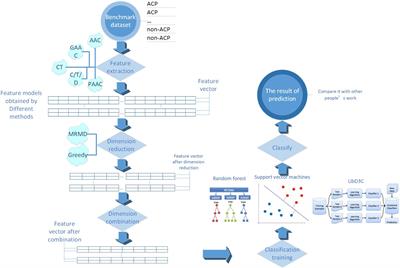 Prediction of Anticancer Peptides Using a Low-Dimensional Feature Model